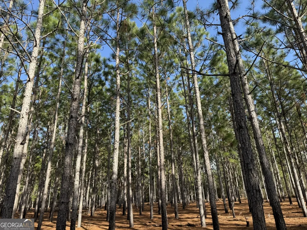 004 Hwy 45 Plains, GA 31780