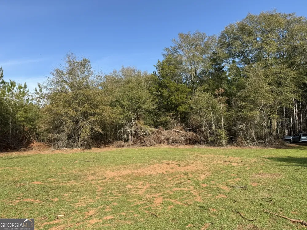 004 Hwy 45 Plains, GA 31780