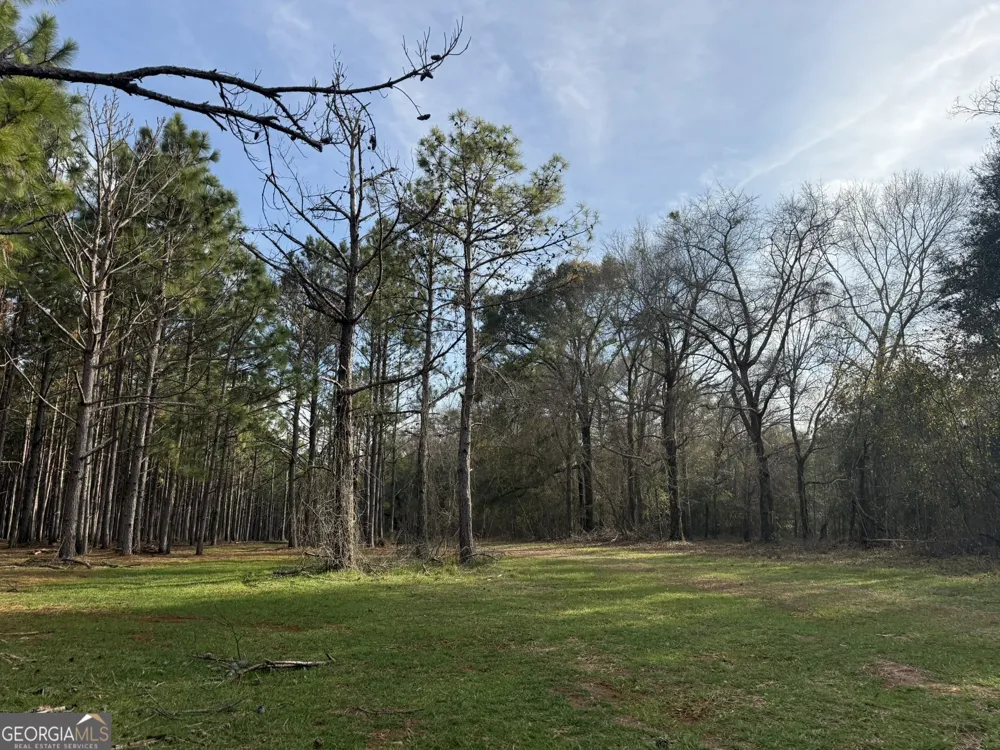 004 Hwy 45 Plains, GA 31780