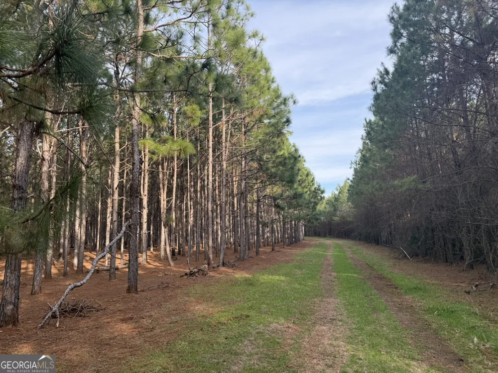 004 Hwy 45 Plains, GA 31780