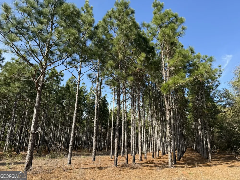 014 Hwy 45 Plains, GA 31780