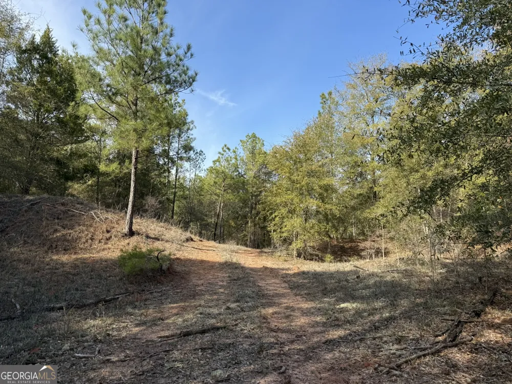 014 Hwy 45 Plains, GA 31780