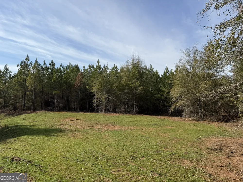 014 Hwy 45 Plains, GA 31780