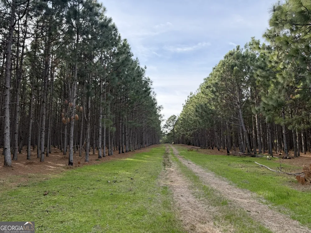 014 Hwy 45 Plains, GA 31780