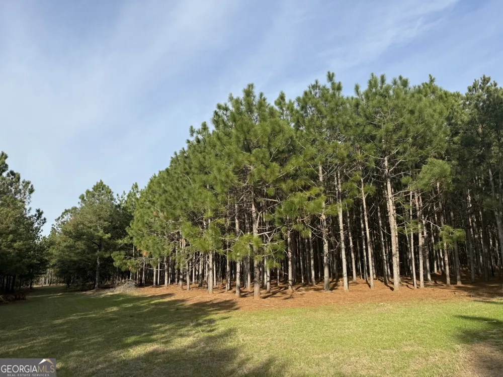 014 Hwy 45 Plains, GA 31780
