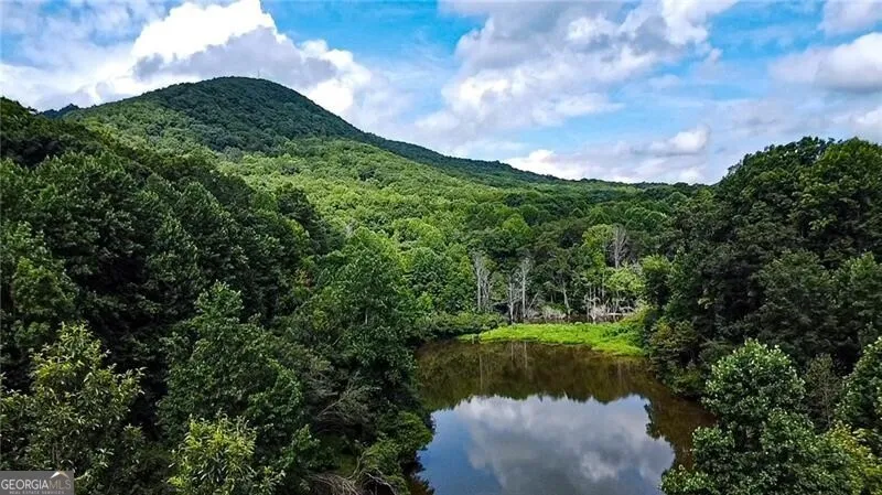 1565 Shoal Creek RD NW Clermont, GA 30527