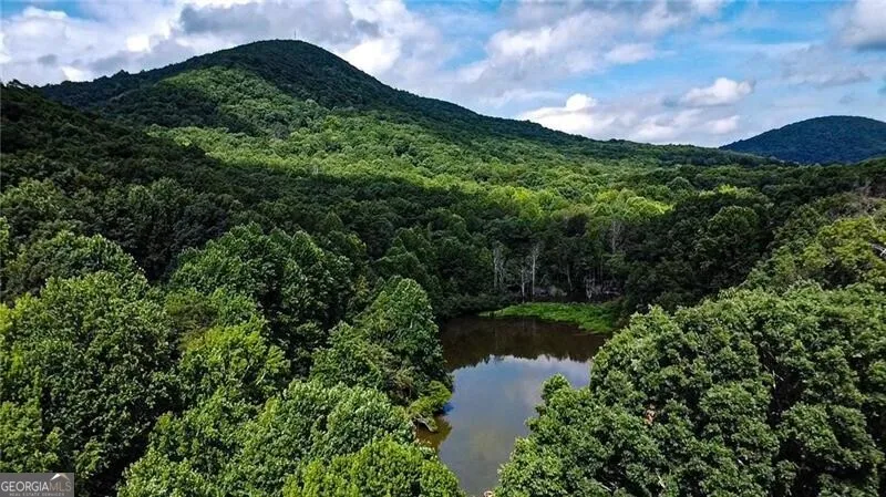 1565 Shoal Creek RD NW Clermont, GA 30527