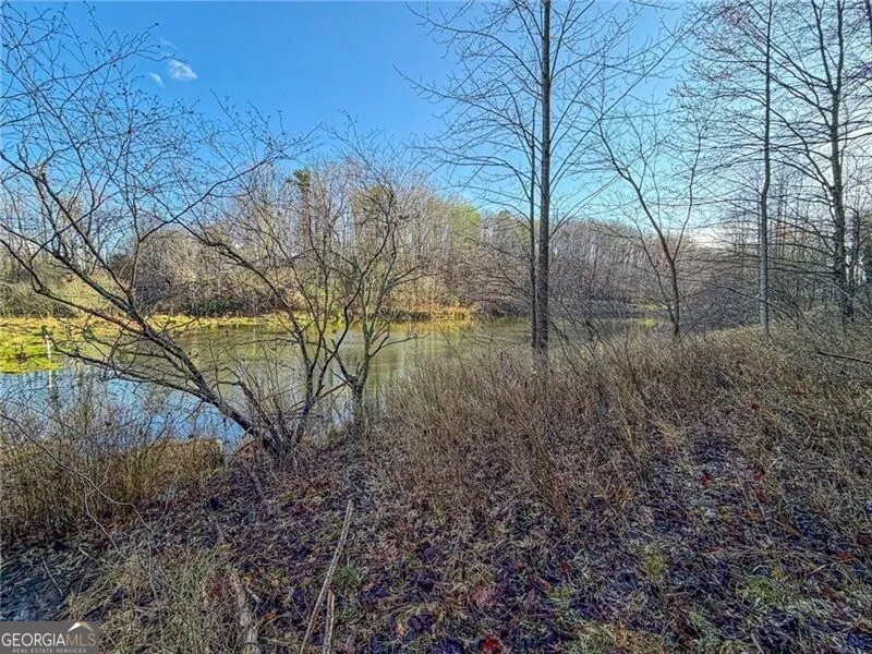 1565 Shoal Creek RD NW Clermont, GA 30527