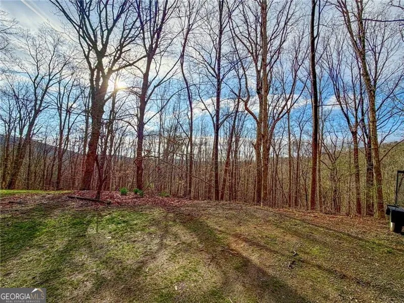 1565 Shoal Creek RD NW Clermont, GA 30527