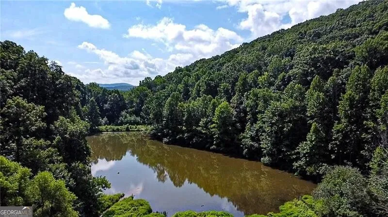 1565 Shoal Creek RD NW Clermont, GA 30527