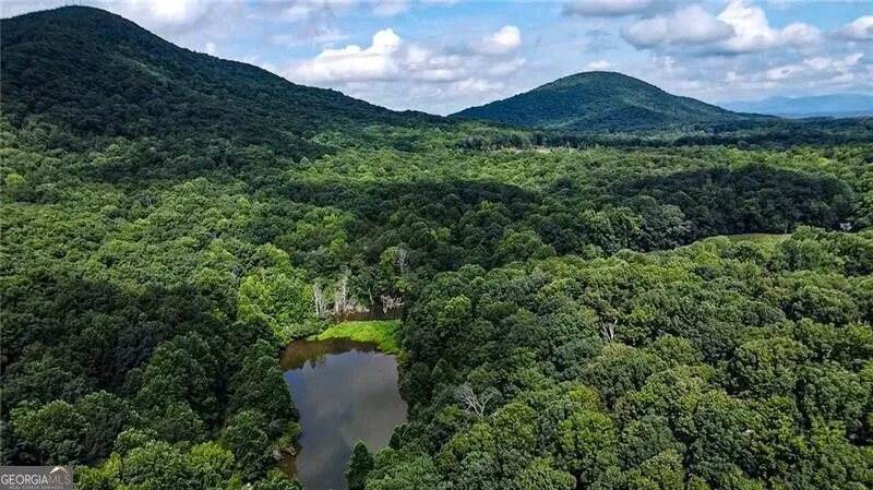 1565 Shoal Creek RD NW Clermont, GA 30527