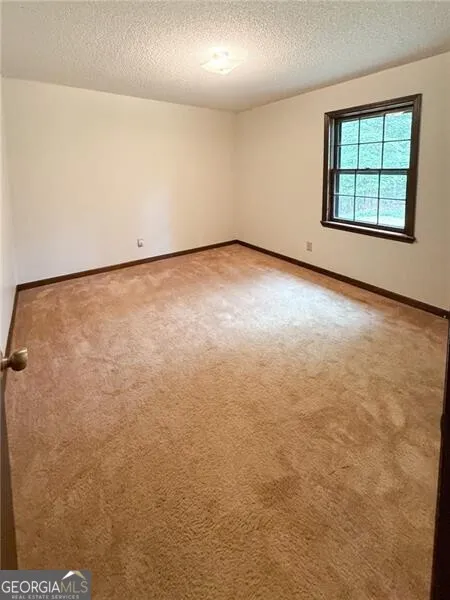 1565 Shoal Creek RD NW Clermont, GA 30527