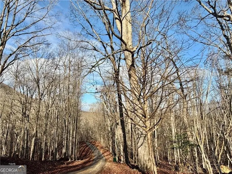 1565 Shoal Creek RD NW Clermont, GA 30527