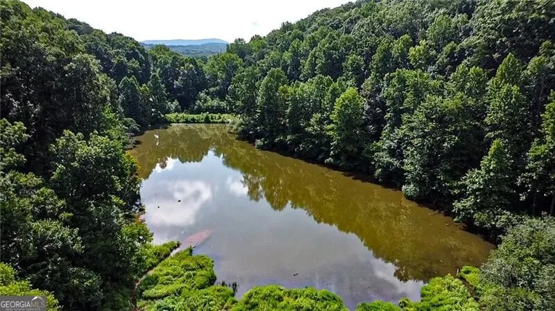 1565 Shoal Creek RD NW Clermont, GA 30527