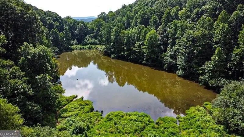 1565 Shoal Creek RD NW Clermont, GA 30527