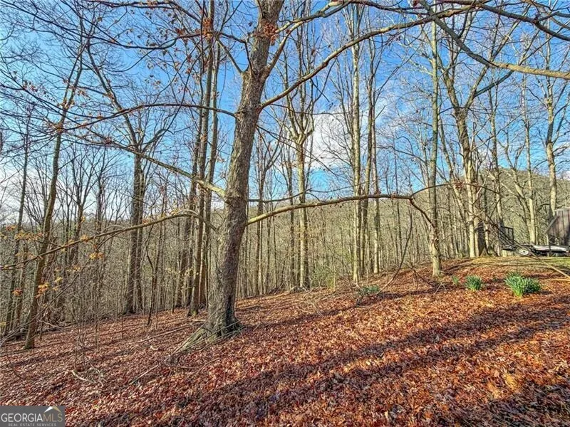 1565 Shoal Creek RD NW Clermont, GA 30527