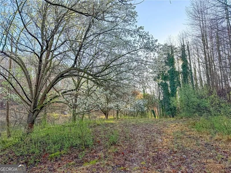 1565 Shoal Creek RD NW Clermont, GA 30527