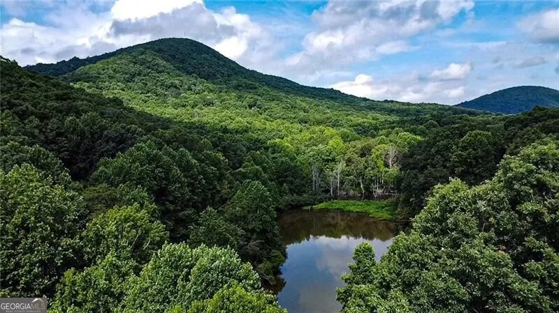 1565 Shoal Creek RD NW Clermont, GA 30527