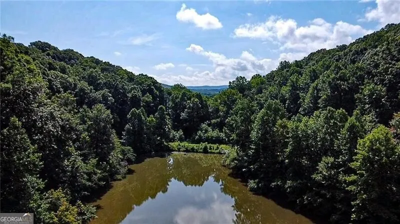 1565 Shoal Creek RD NW Clermont, GA 30527