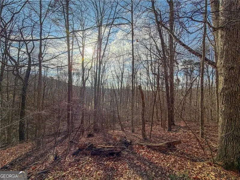 1565 Shoal Creek RD NW Clermont, GA 30527