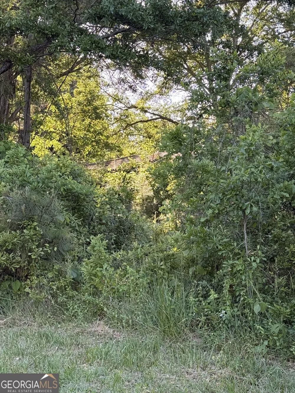 217 S Broad ST Winder, GA 30680