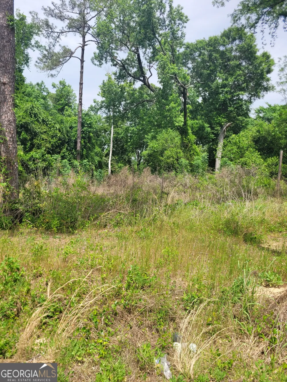 3340 Riggins Mill RD Macon, GA 31217