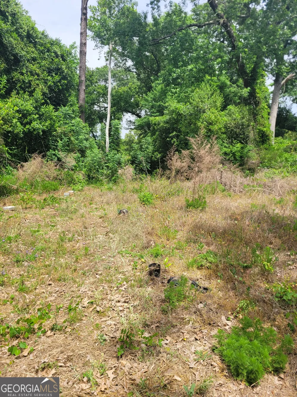 3340 Riggins Mill RD Macon, GA 31217