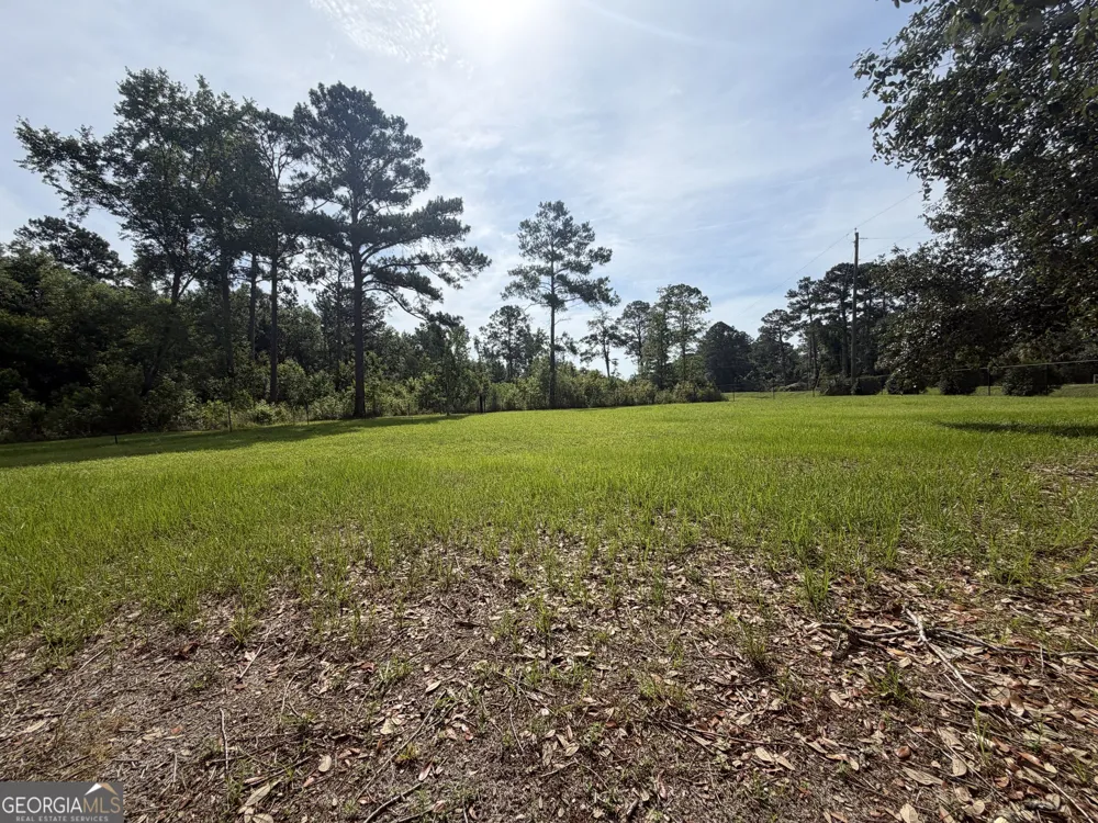 3919 Ga Highway 152 Cobbtown, GA 30420