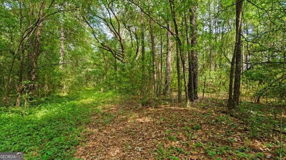 1 Coakley and Slade AVE Albany, GA 31721