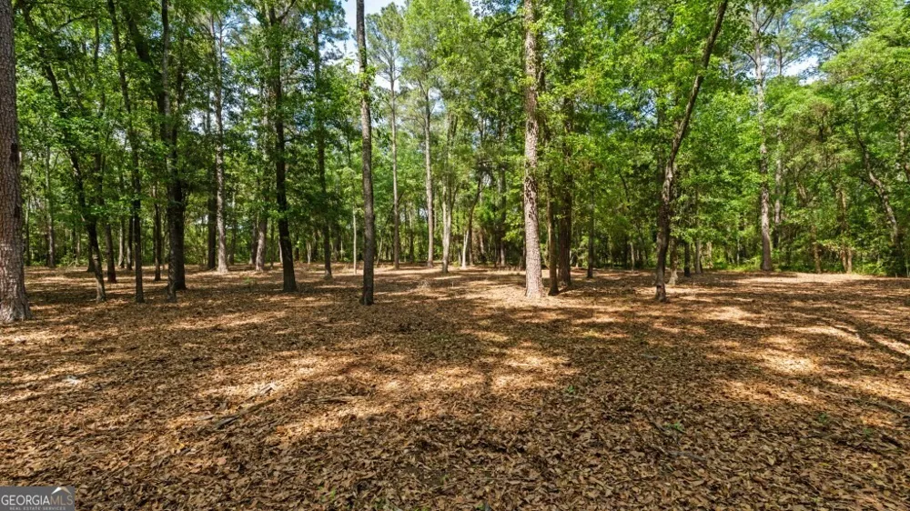 2 Coakley and Slade AVE Albany, GA 31721