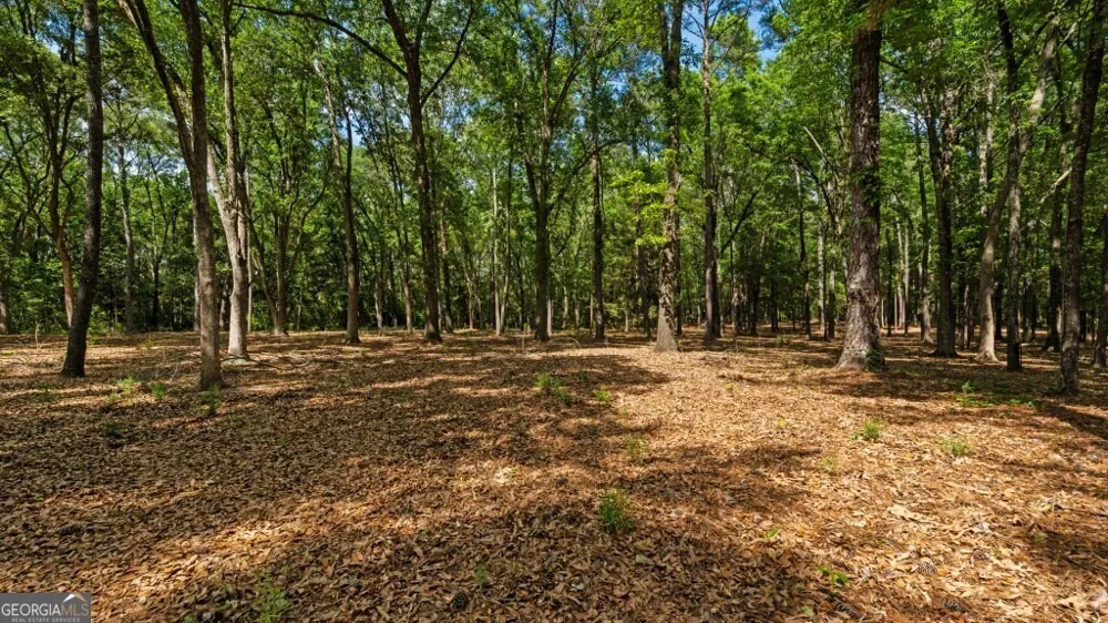 2 Coakley and Slade AVE Albany, GA 31721