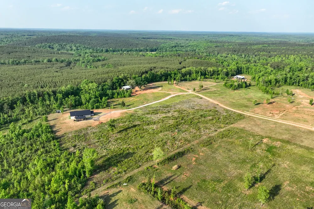 156 Jordan Bottoms RD Culloden, GA 31016