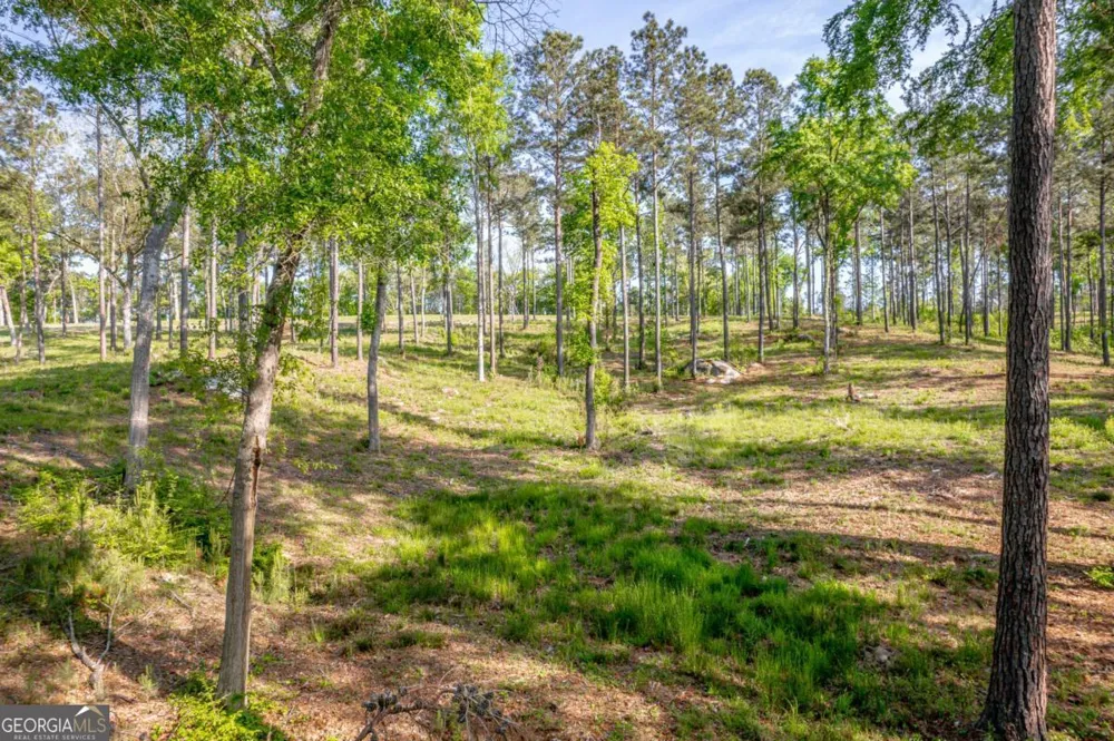 203 Falls LN Milledgeville, GA 31061