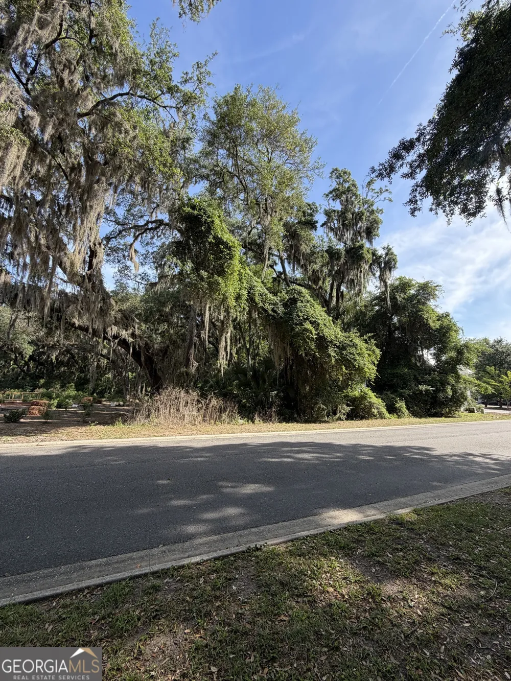 0 Doubloon CT St. Marys, GA 31558