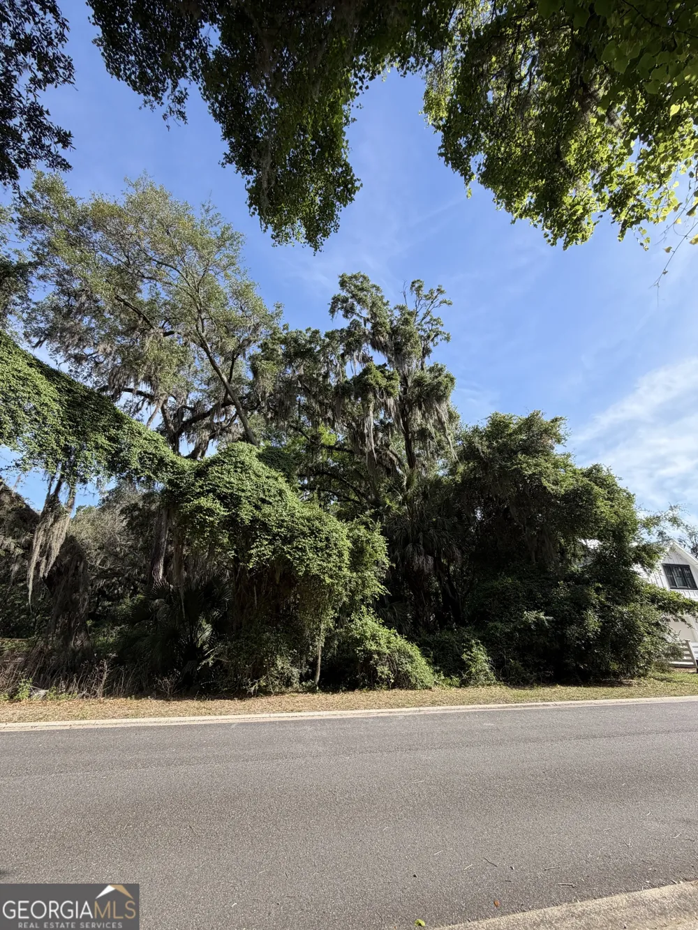0 Doubloon CT St. Marys, GA 31558