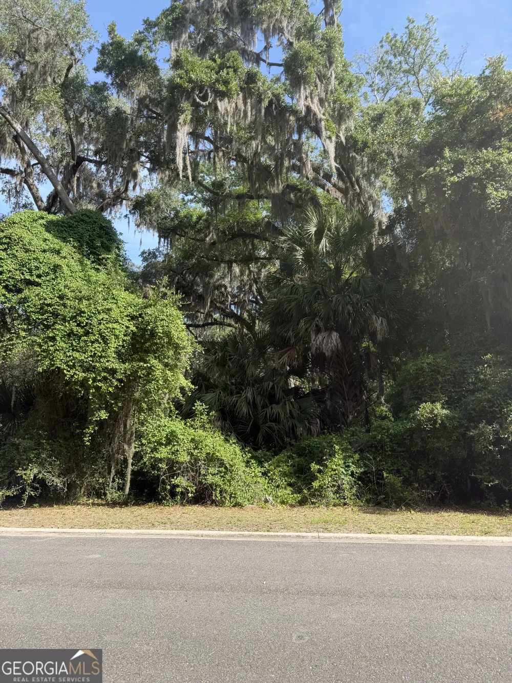 0 Doubloon CT St. Marys, GA 31558