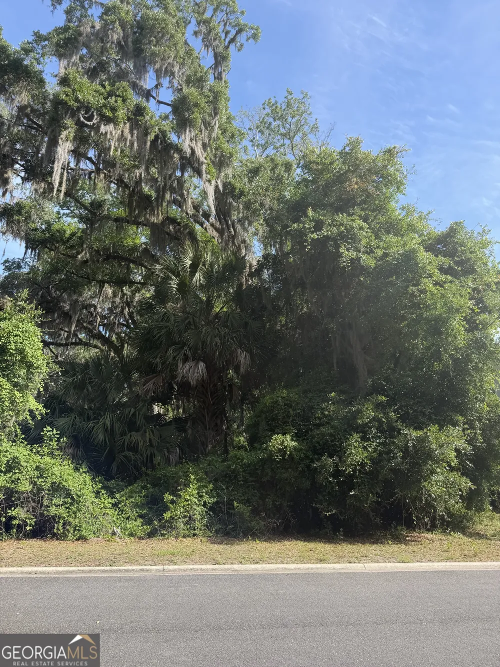 0 Doubloon CT St. Marys, GA 31558