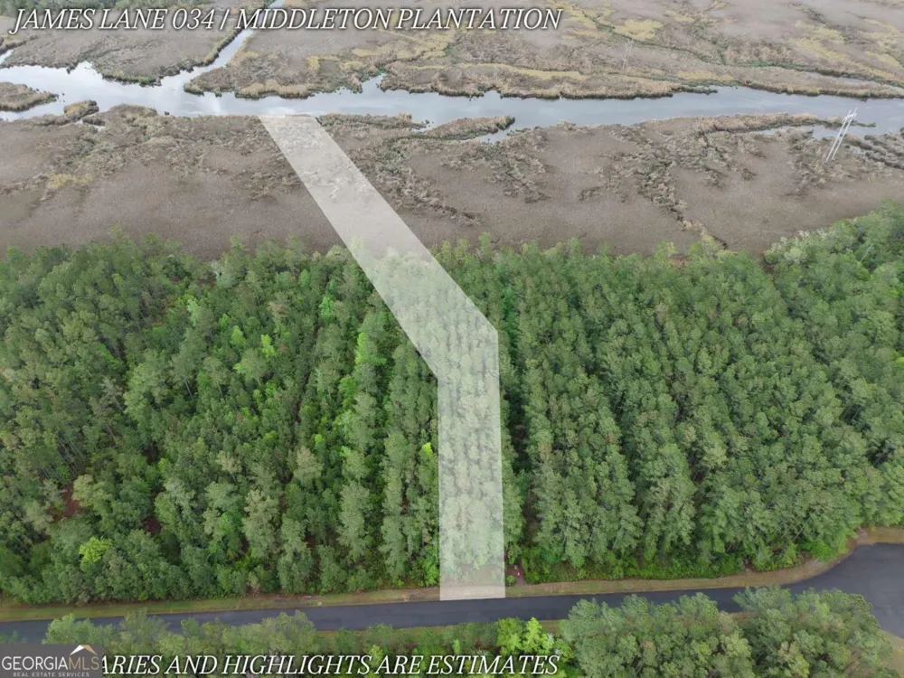 LOT 34 James LN White Oak, GA 31568