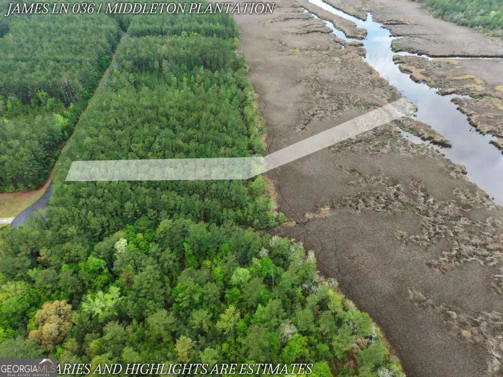 LOT 36 James LN White Oak, GA 31568