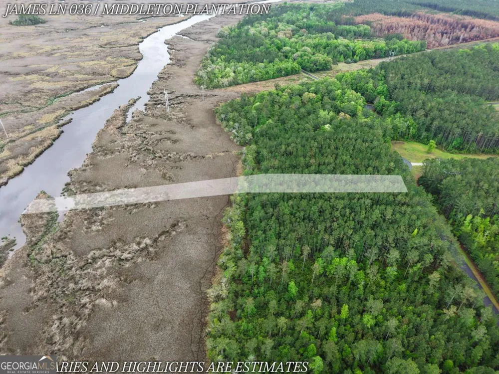 LOT 36 James LN White Oak, GA 31568