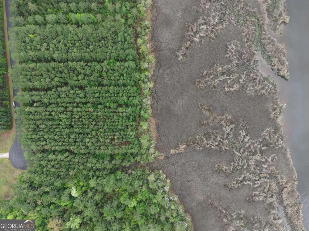 LOT 36 James LN White Oak, GA 31568