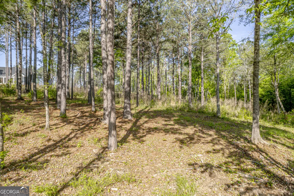 126 Falls LN Milledgeville, GA 31061