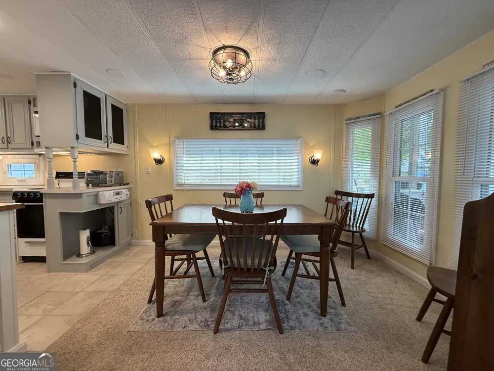4368 Riverbank RUN Hiawassee, GA 30546