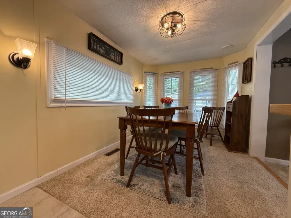 4368 Riverbank RUN Hiawassee, GA 30546
