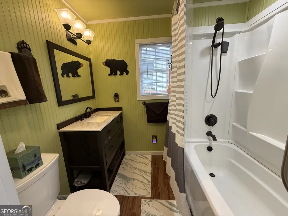 4368 Riverbank RUN Hiawassee, GA 30546