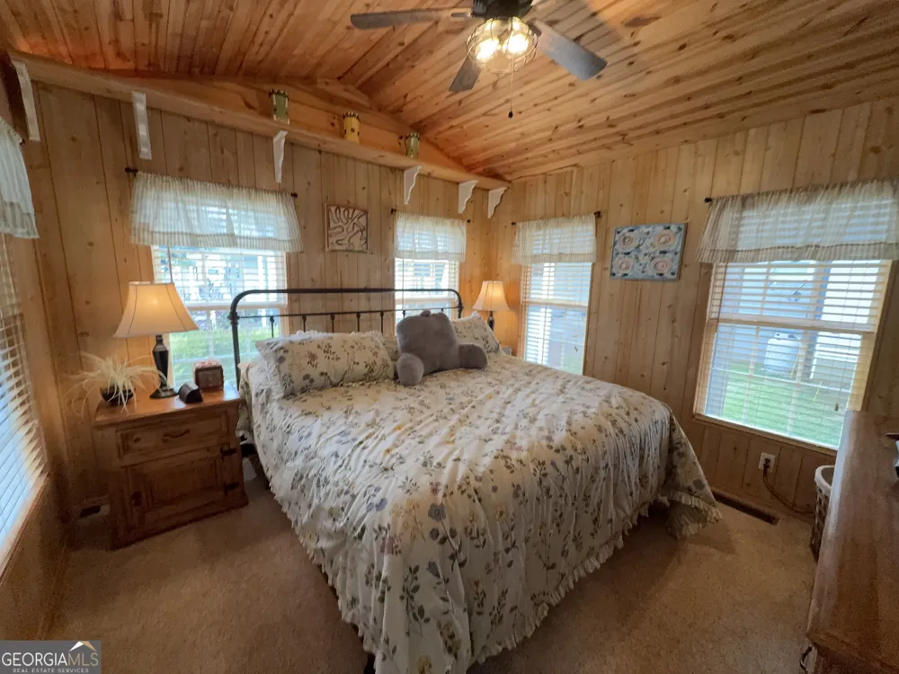 4368 Riverbank RUN Hiawassee, GA 30546