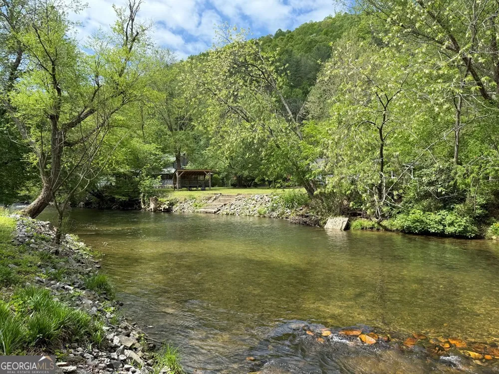 4368 Riverbank RUN Hiawassee, GA 30546