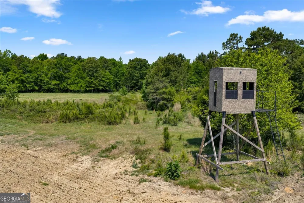 0 Highway 80 Danville, GA 31017