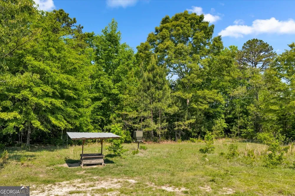 0 Highway 80 Danville, GA 31017