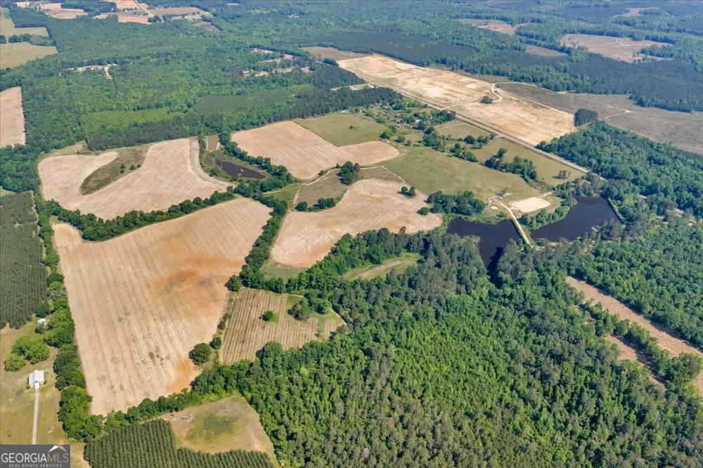 0 Highway 80 Danville, GA 31017